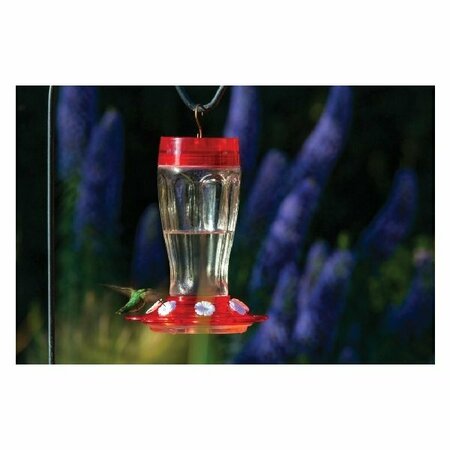 MORE BIRDS Big Gulp Glass Hummingbird Feeder W/Ant Moat 41-BG-GLP